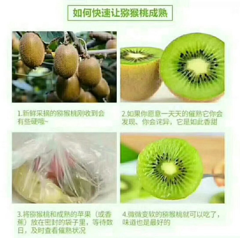 徐香猕猴桃