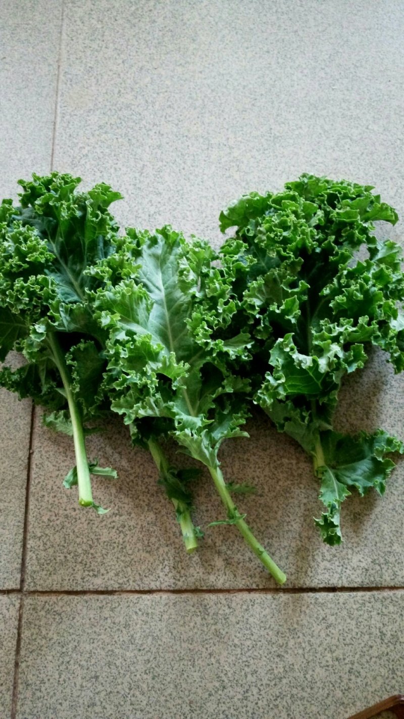 精品龙须菜，甘蓝叶，三叶香，谁要联系我联系我，量大价优