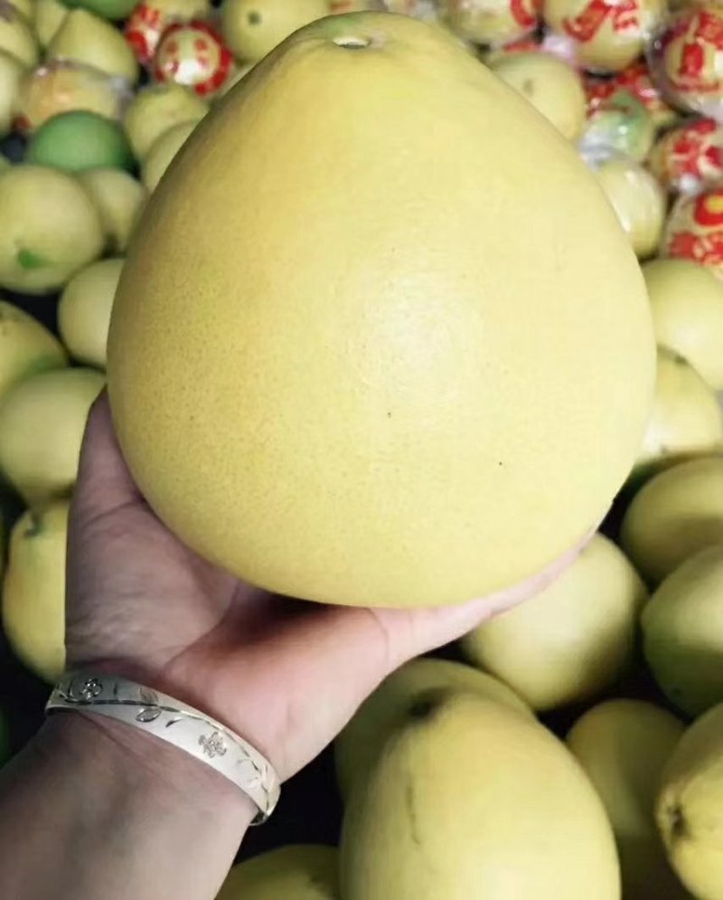 琯溪蜜柚