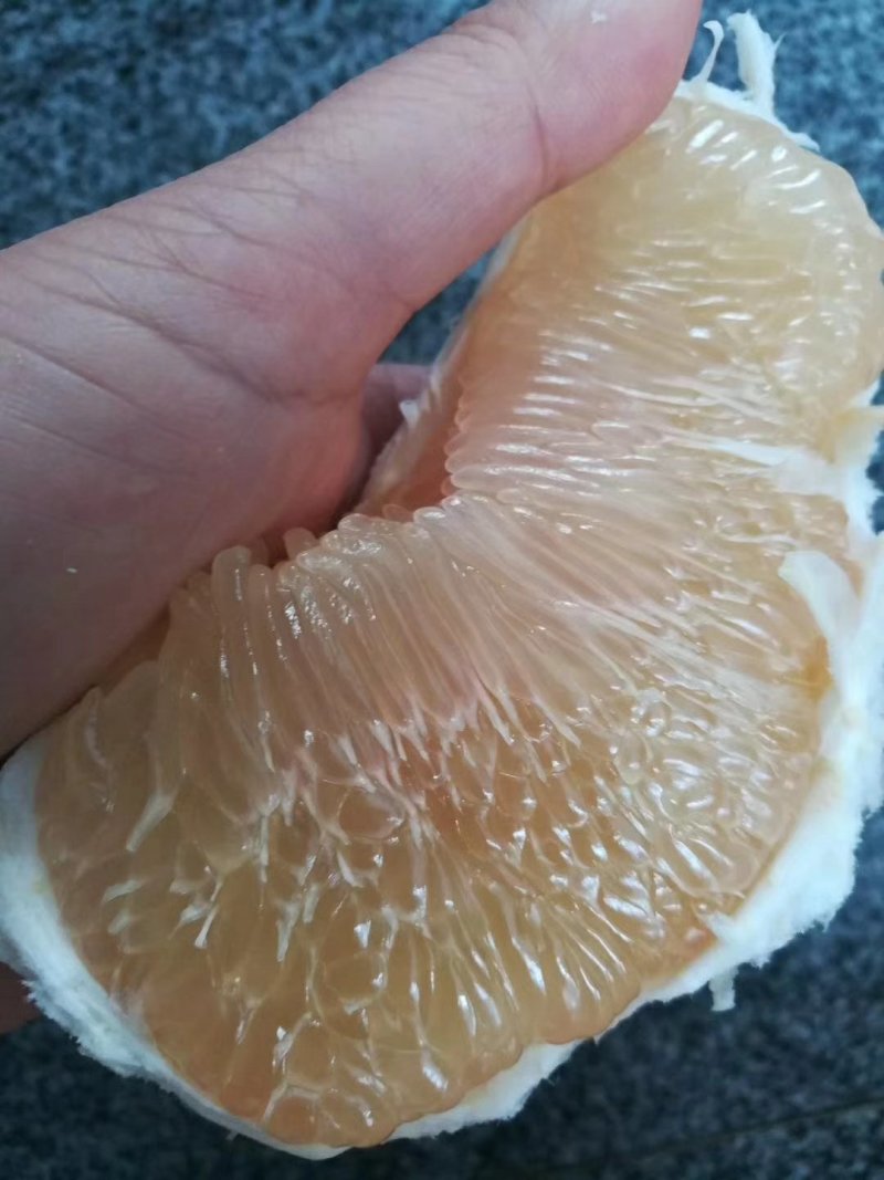 琯溪蜜柚