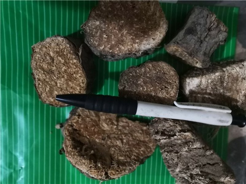 阿魏根