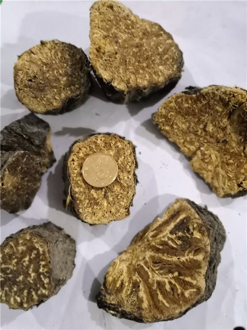 阿魏根