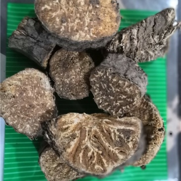 阿魏根