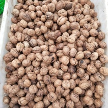 薄皮核桃