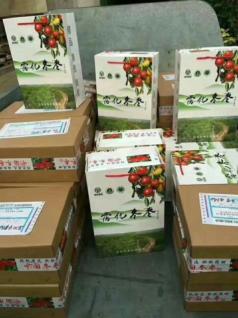 沾化冬枣