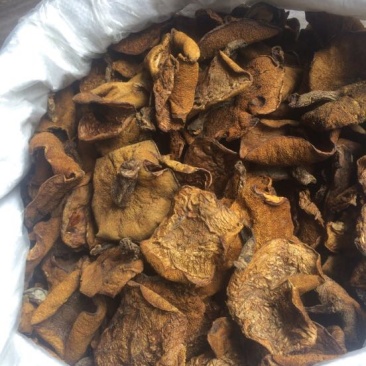 松蘑特级