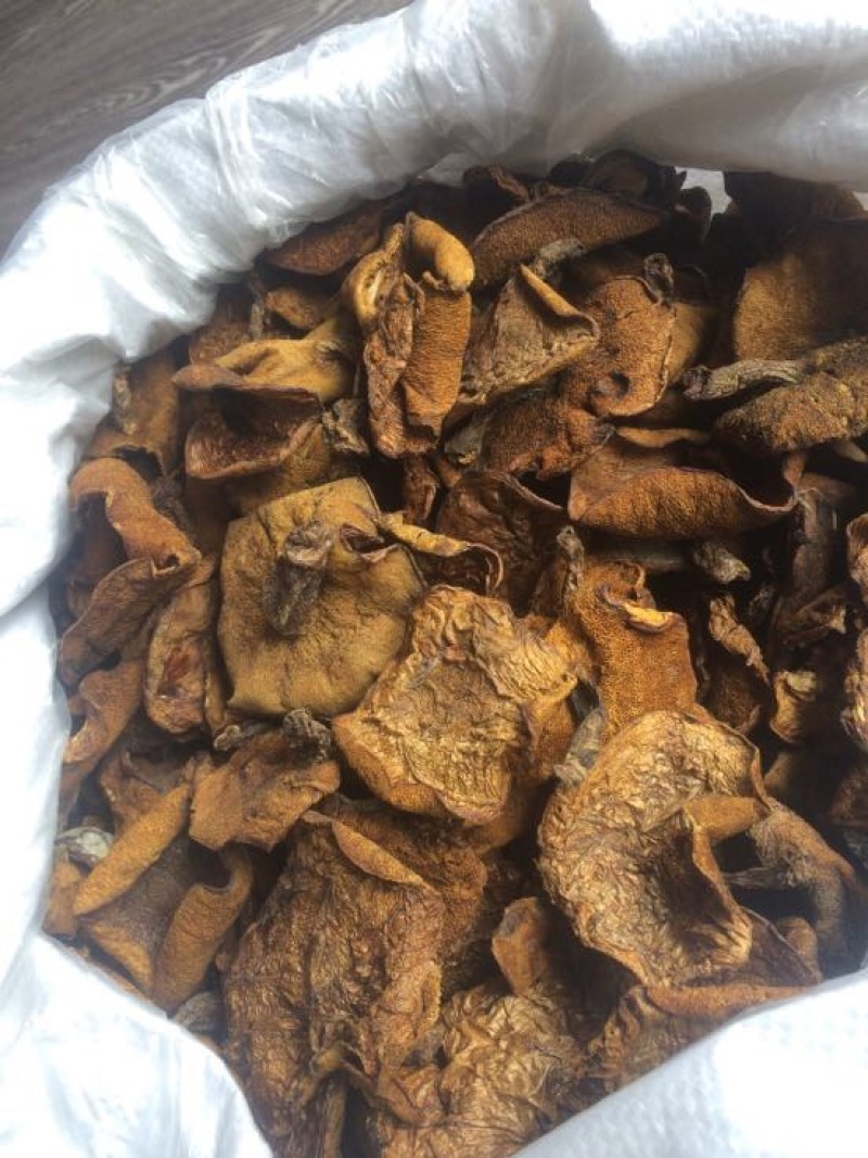松蘑特级
