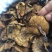 松蘑特级
