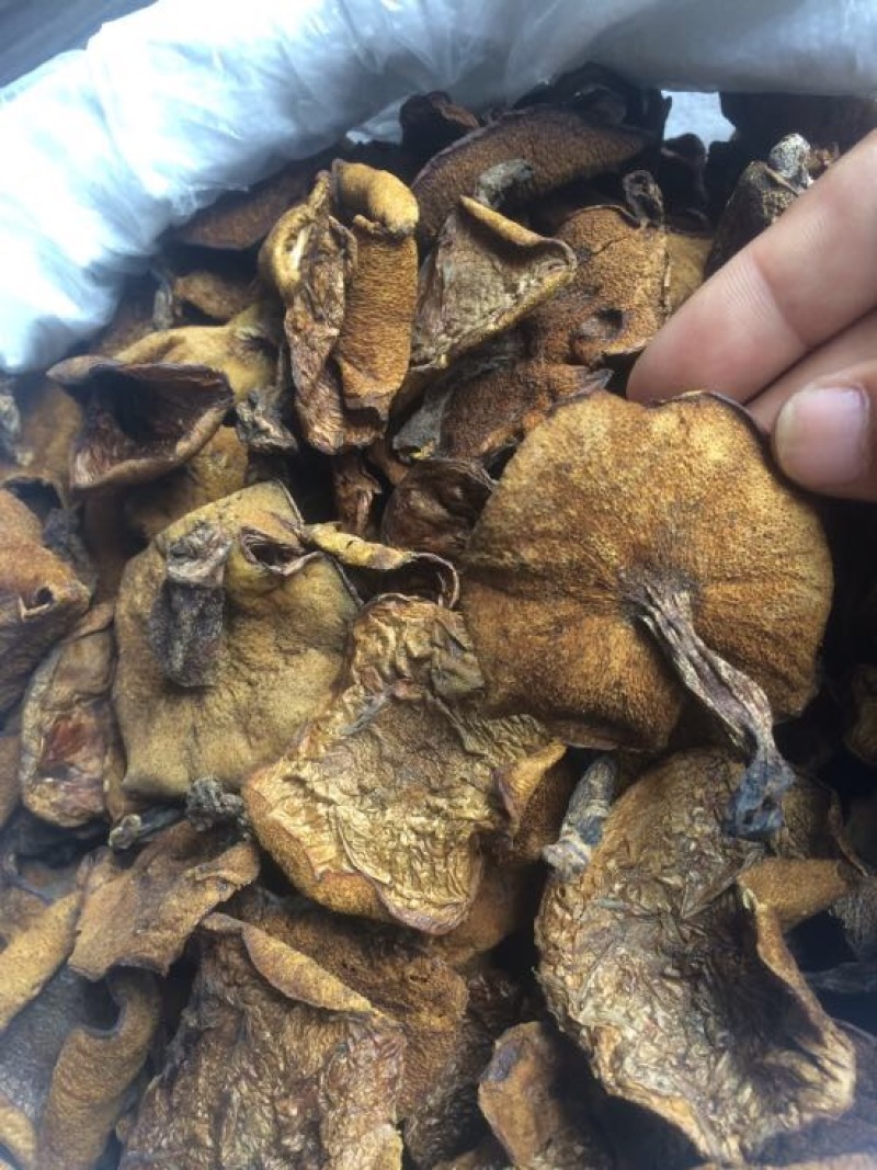 松蘑特级