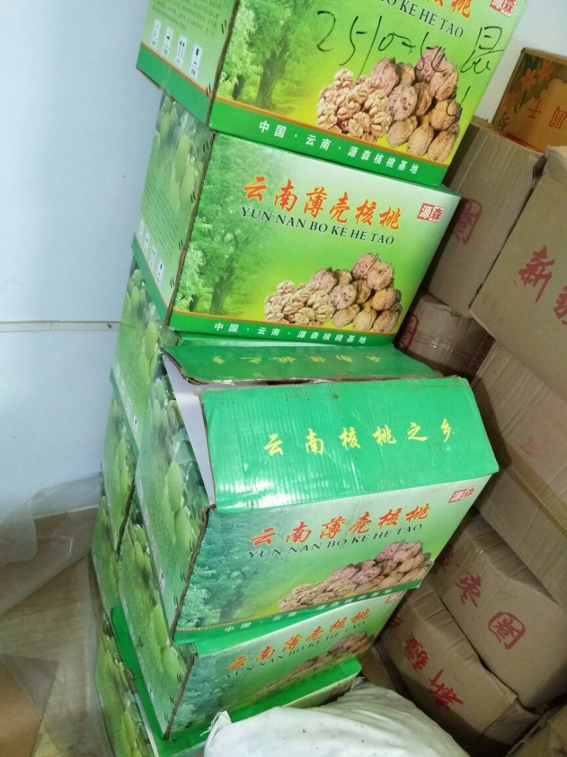 厂家供应云南核桃麻子核桃箱装袋装批发散装包装可上门看货