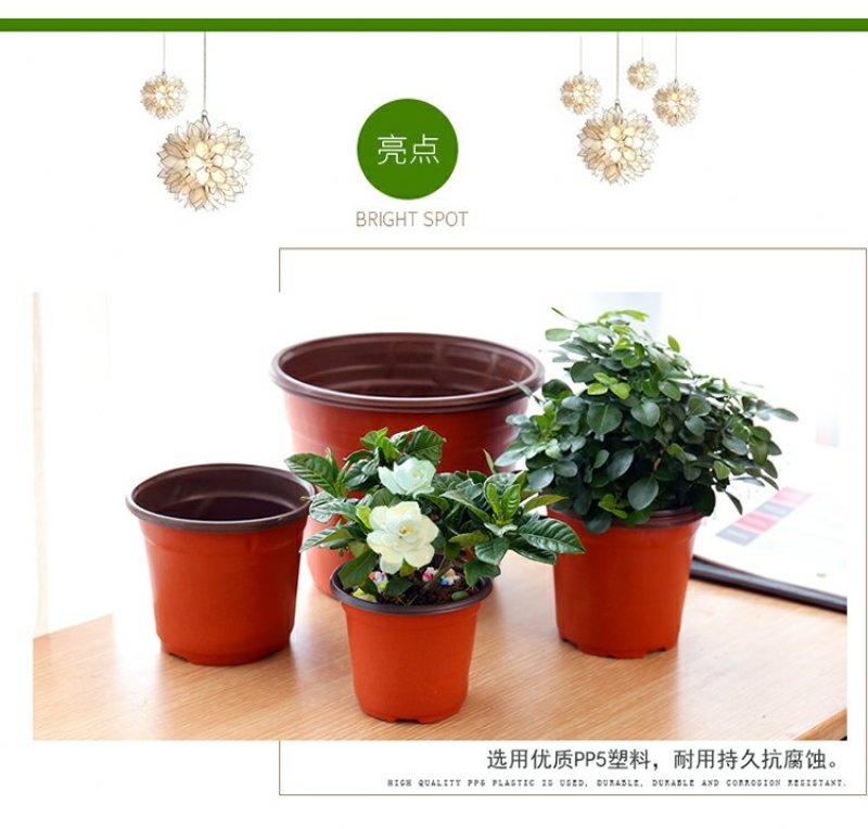 营养钵双色盆育苗盆简易花盆