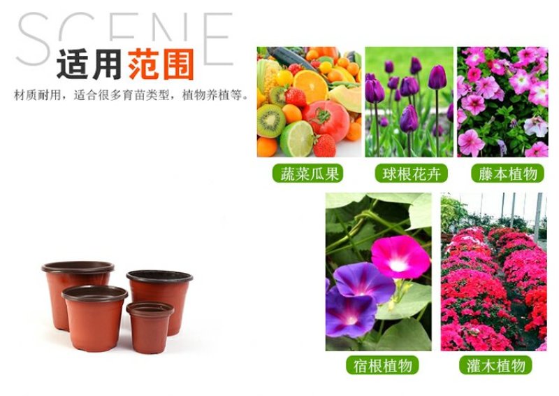 营养钵双色盆育苗盆简易花盆