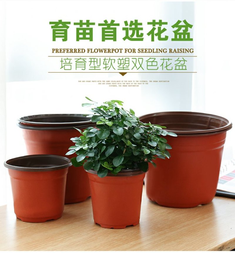 营养钵双色盆育苗盆简易花盆