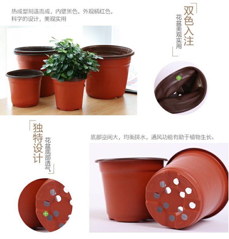 营养钵双色盆育苗盆简易花盆