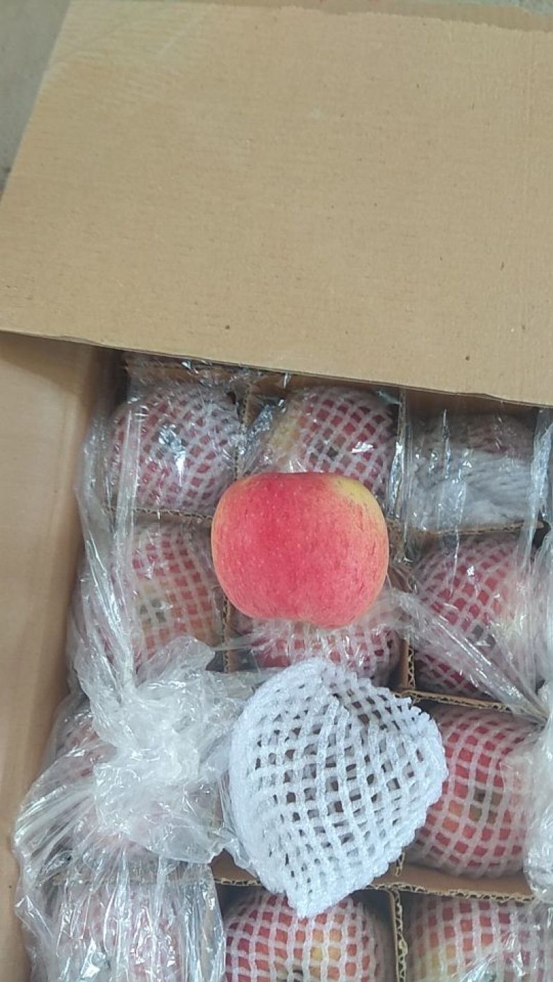 红嘎啦苹果产地直供，可视频看货，支持网上保障发货。