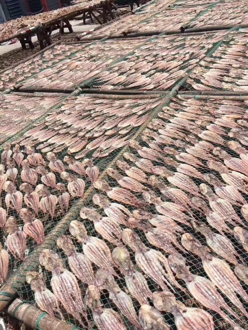 本地章鱼