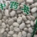 白刀豆
