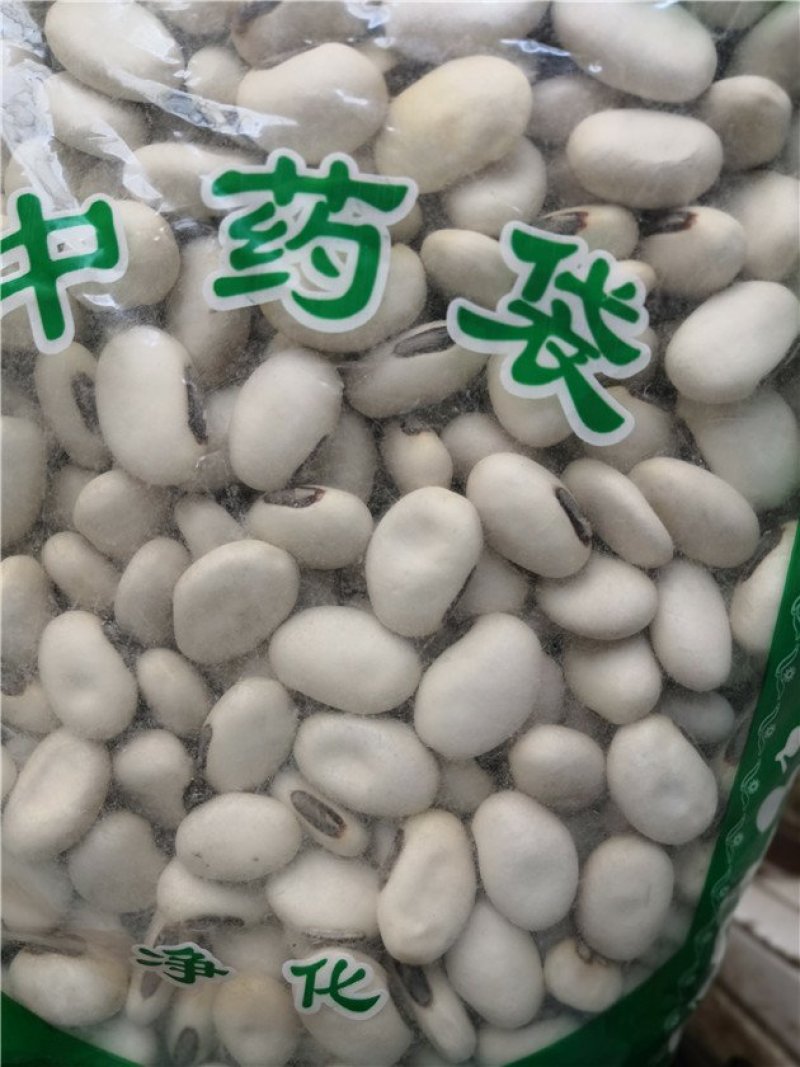 白刀豆
