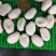 白刀豆