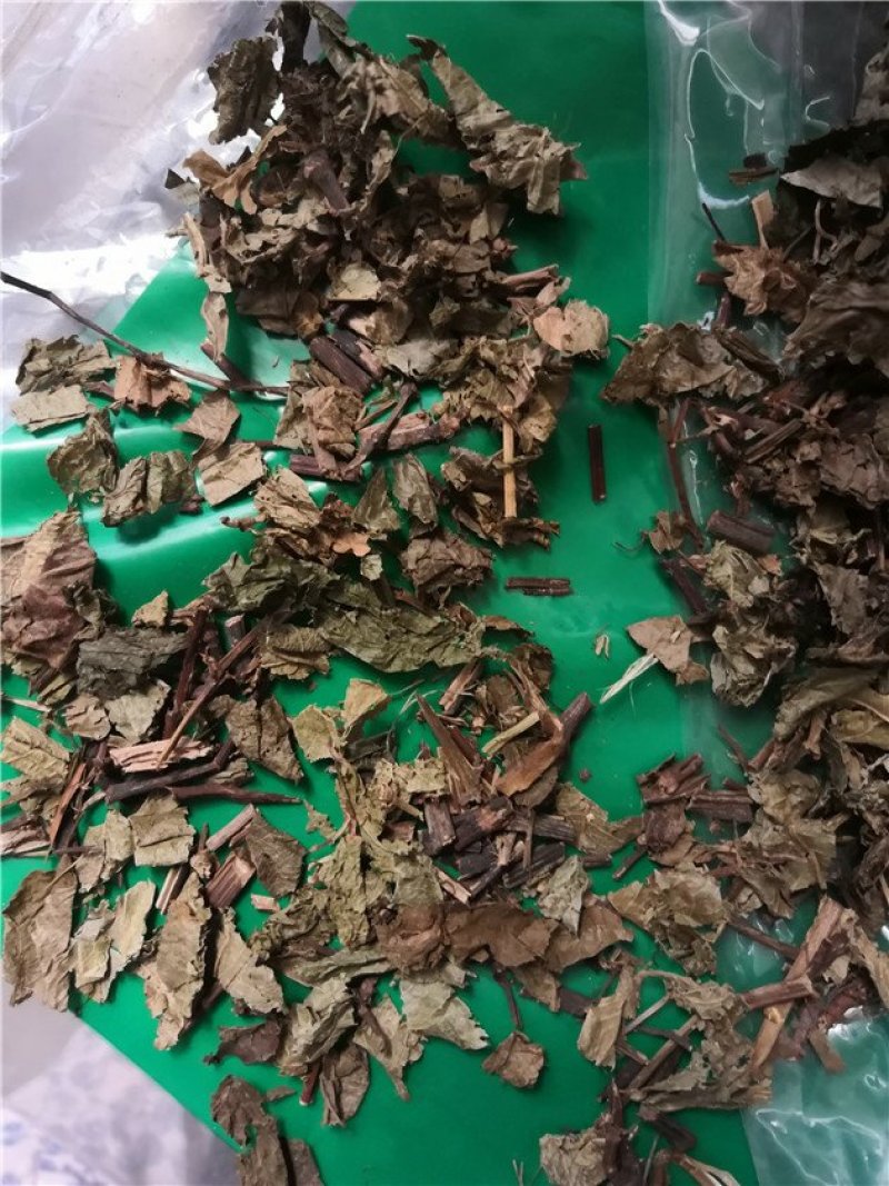 火炭母
