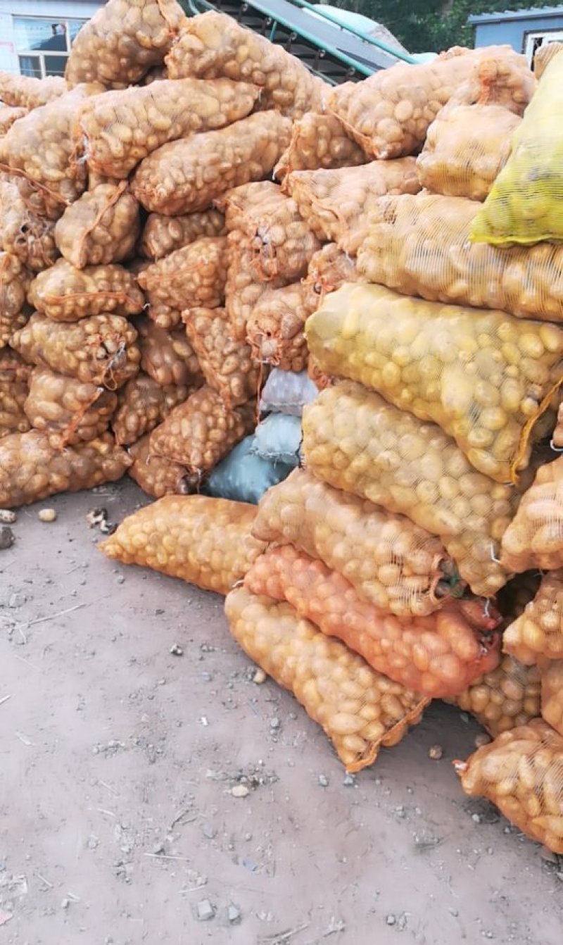小土豆