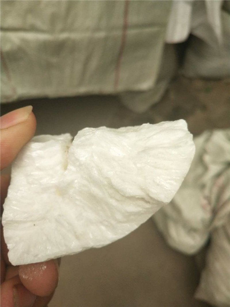 虫白蜡