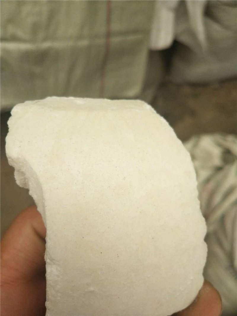 虫白蜡