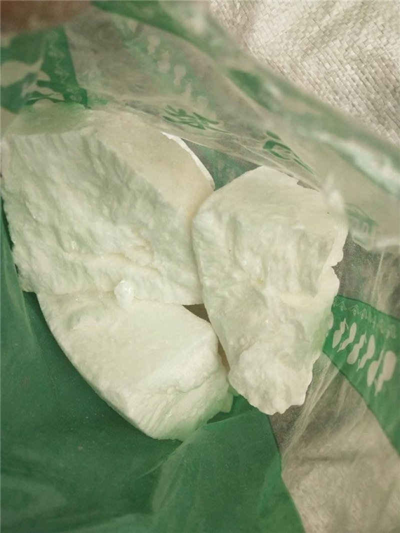 虫白蜡