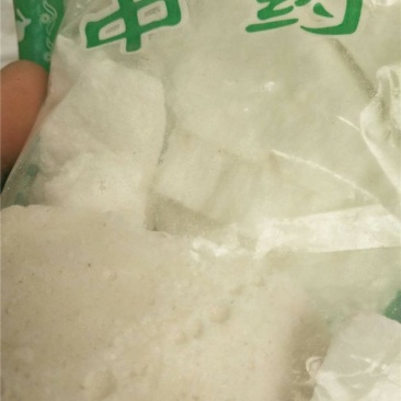 虫白蜡
