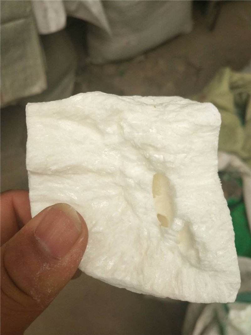 虫白蜡