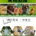 em菌液养鸡益生菌饮水保健液豆渣发酵剂酒糟养鸡圈舍除臭剂