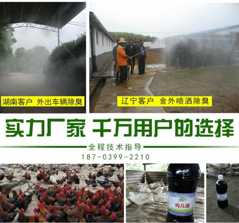 em菌液养鸡益生菌饮水保健液豆渣发酵剂酒糟养鸡圈舍除臭剂