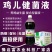 em菌液养鸡益生菌饮水保健液豆渣发酵剂酒糟养鸡圈舍除臭剂
