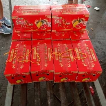 精品礼合装