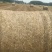 花生秧草粉，牛、羊、马、兔草料……过滚筒筛除尘