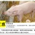 养猪专用em菌种复合菌种饮水调理肠胃猪用饲料发酵剂猪儿健