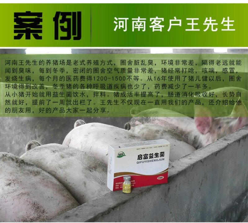 养猪专用em菌种复合菌种饮水调理肠胃猪用饲料发酵剂猪儿健
