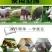 养猪专用em菌种复合菌种饮水调理肠胃猪用饲料发酵剂猪儿健