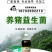 养猪专用em菌液小猪饮水拌料促长猪圈舍除臭剂