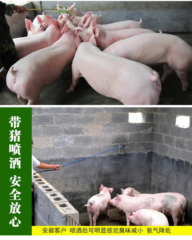 养猪专用em菌液小猪饮水拌料促长猪圈舍除臭剂