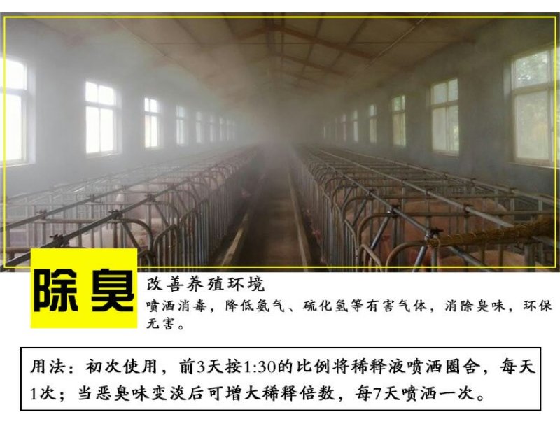 养猪专用em菌液小猪饮水拌料促长猪圈舍除臭剂