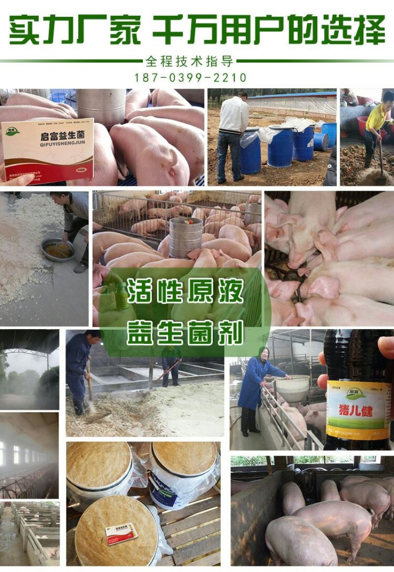 养猪专用em菌液小猪饮水拌料促长猪圈舍除臭剂