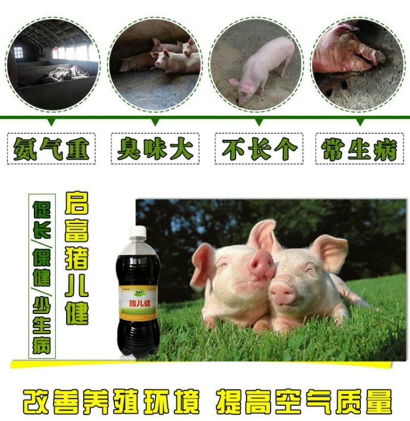 养猪专用em菌液小猪饮水拌料促长猪圈舍除臭剂
