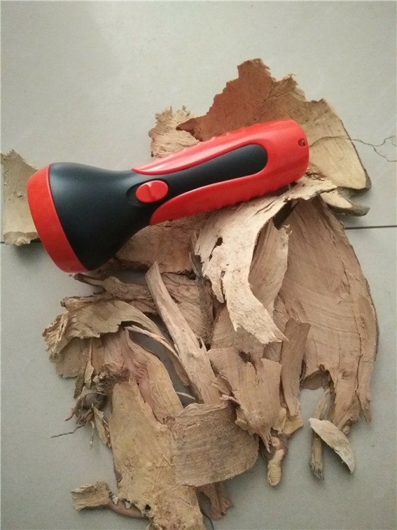 茶树根