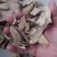 茶树根