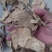 茶树根