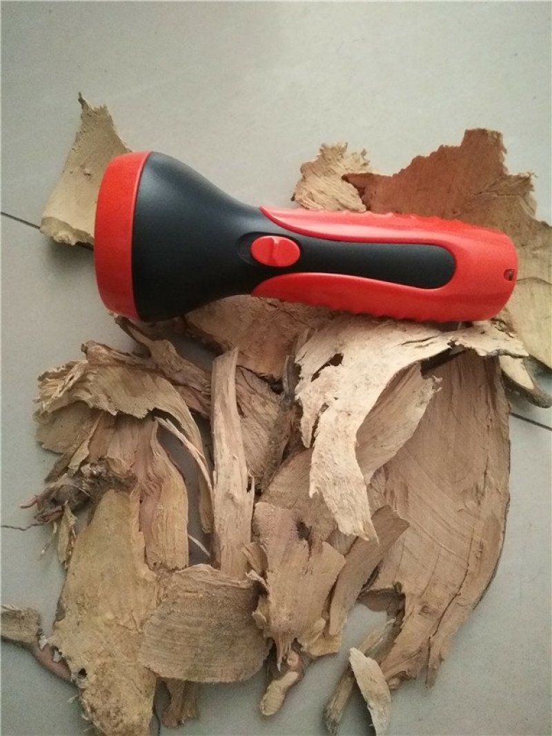 茶树根