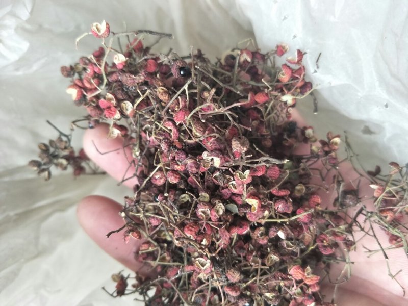 红皮花椒薄皮核桃
