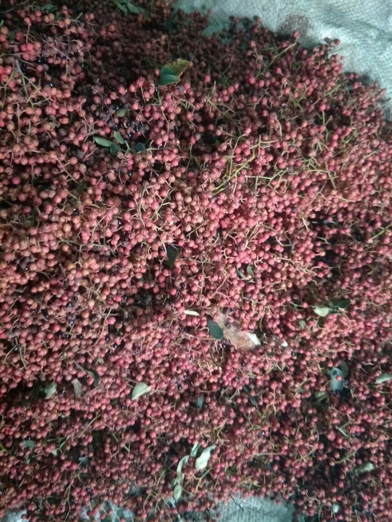红皮花椒薄皮核桃