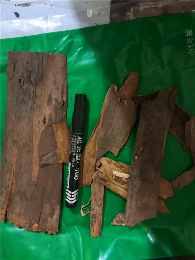 红豆杉皮65一斤
